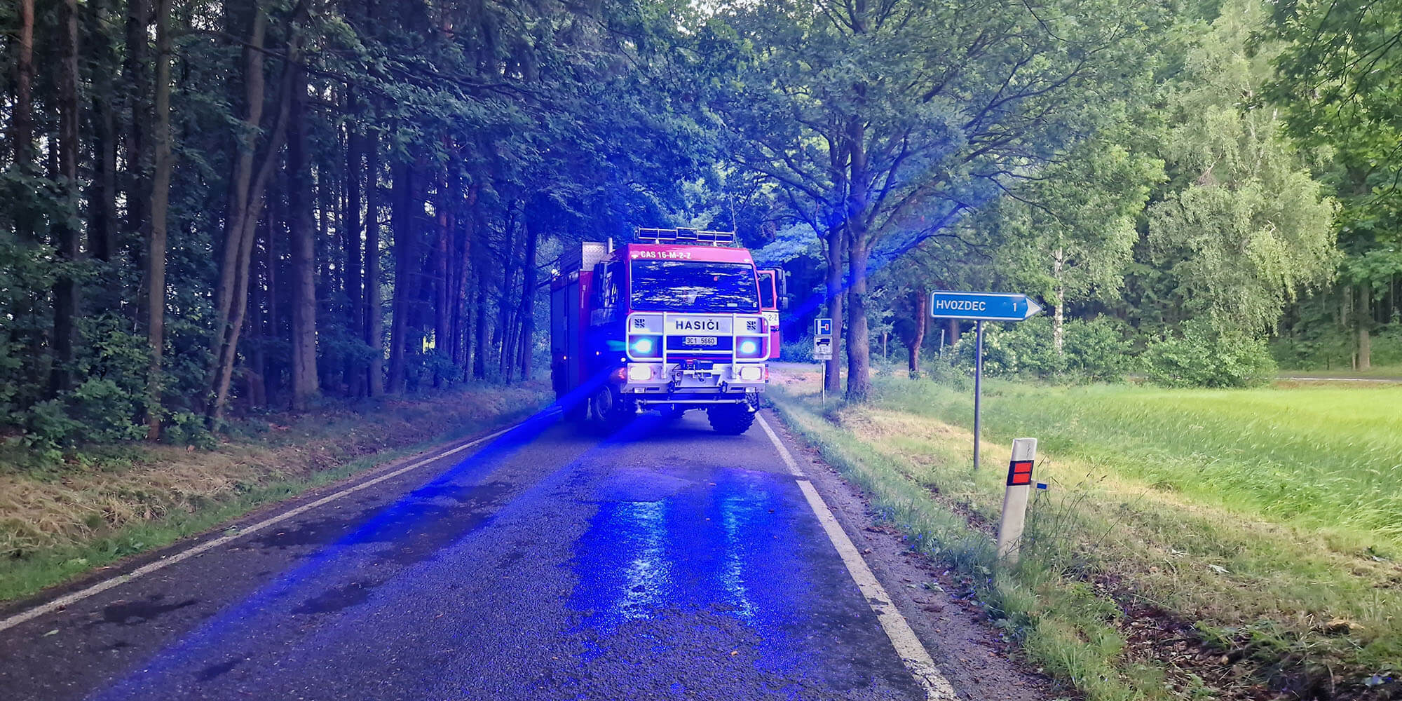 Spadlé stromy Levín a Hvozdec